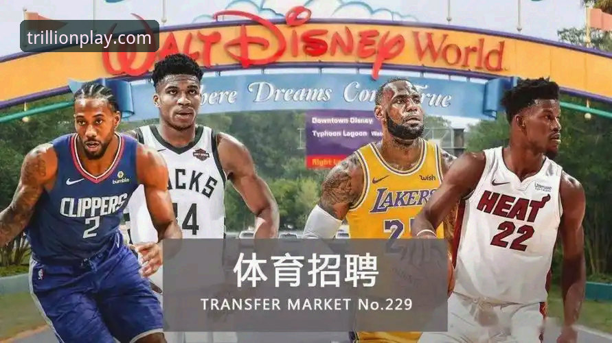 三亿体育平台iOS版使用指南：从下载到登录的完整攻略